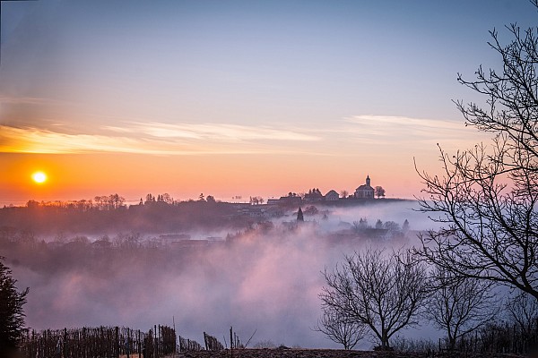Avtor: Patricija Belak
